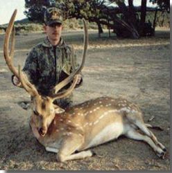 Hunting deer in texas regulations