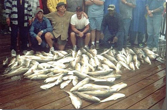 Captain Mike Powell's All Season Guide Service, Fishing Port O'Connor,Matagorda Palacios Bay Systems.