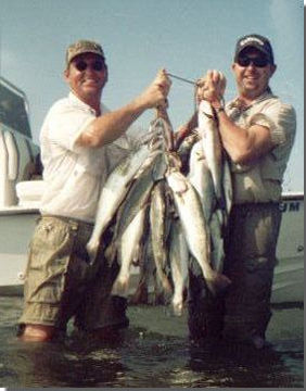 Captain Mike Powell's All Season Guide Service, Fishing Port O'Connor,Matagorda Palacios Bay Systems.