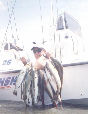 Click on Image for larger view.