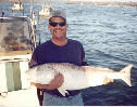 Click on Image for larger view.