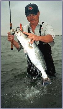 Texas Saltwater Fishing Guide Captain John Frankson Fishing Service Catching Speckled Trout and Trophy Red Fish 