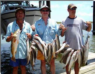 A string of Speckled Trout & Reds "Specks & Reds"
