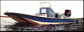 Tran Sport  210V Cat 